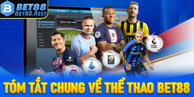 Tóm tắt tổng quan về nhà cái cá cược thể thao Bet88