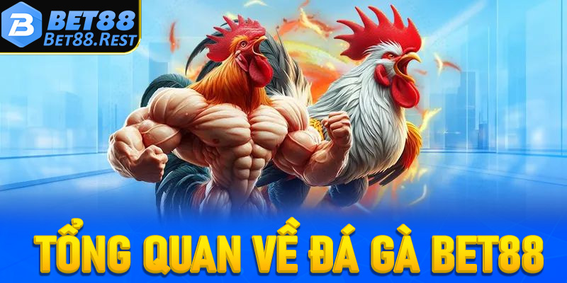 Tổng quan về đá gà Bet88