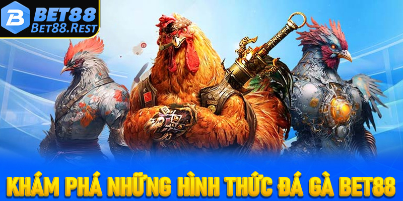 Khám phá những hình thức đá gà Bet88 được yêu thích nhất hiện nay