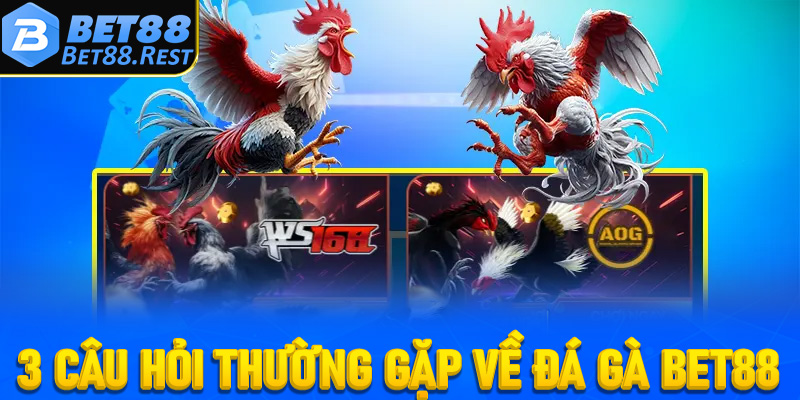 3 câu hỏi thường gặp về đá gà Bet88