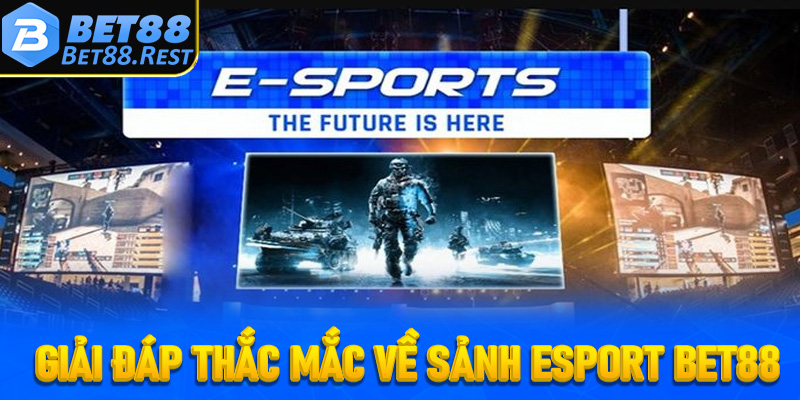 Giải đáp thắc mắc về sảnh Esport Bet88 dành cho người chơi mới